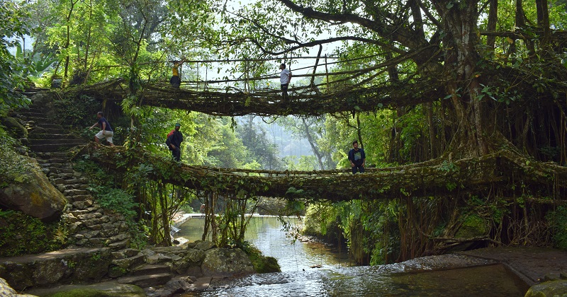 Tour Operator in Guwahati